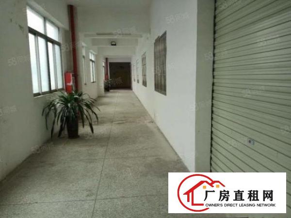  万江流涌尾工业园环城路外，超靓厂房，大小可分租