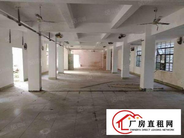  万江园区新出工业用地一楼厂房800平方招租，价格便宜