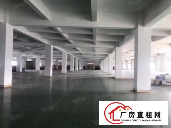  万江原房东工业园一楼1200平米带装修