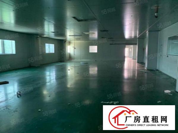  万江新出原房东独门独院单一层厂房招租