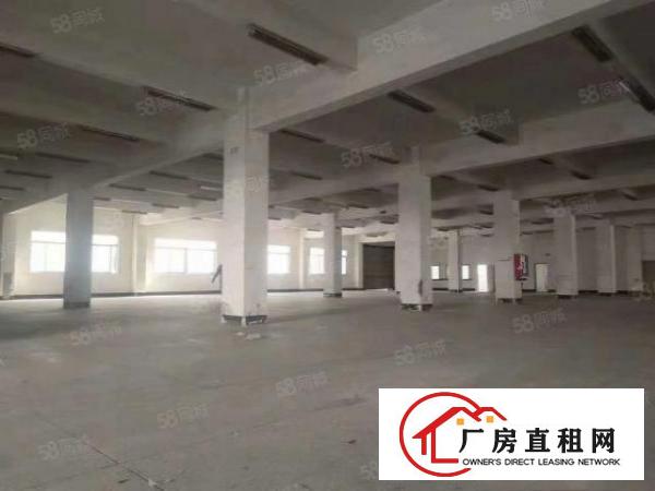  万江新出标准厂房一楼厂房出租