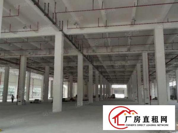  万江新出标准厂房一楼厂房出租
