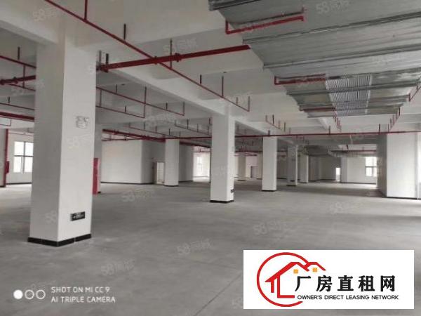  万江新出标准厂房一楼厂房出租