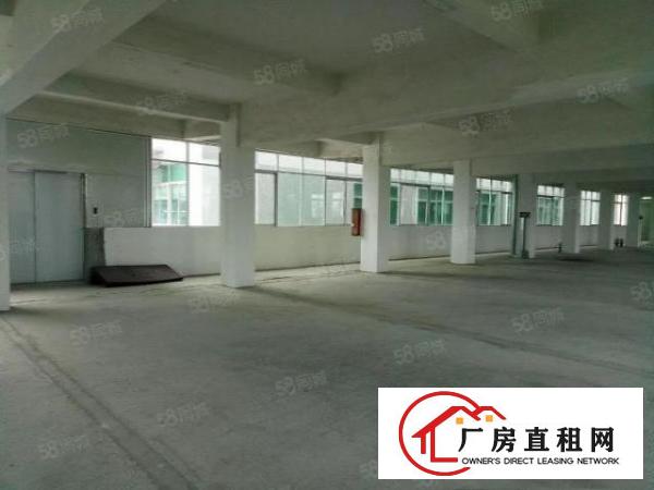  万江莫屋小面积厂房628方