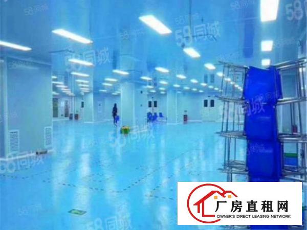  （放租）万江新出1800平方10万级无尘车间厂房现成装速