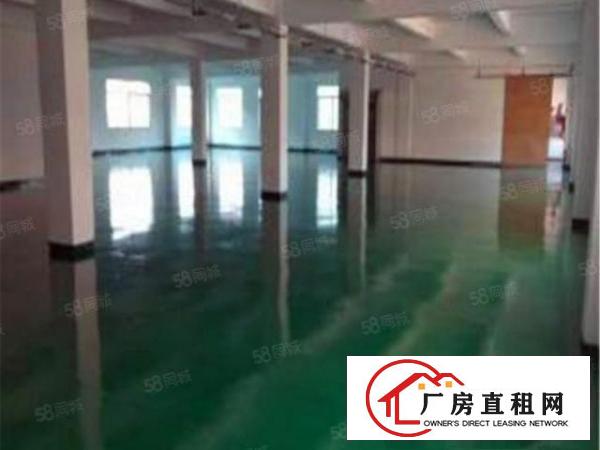  万江区精装修楼上1050平米厂房出租（无尘车间）