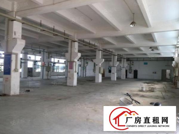  万江小独院厂房两层900平方出租，有办公室装修，配套齐全