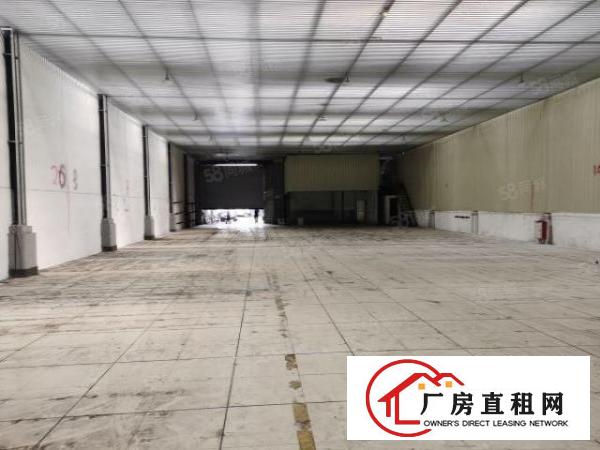  万江滘联工业区新出十米高单一层厂房900平方和1300平方