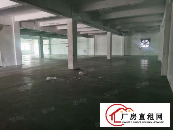  万江简沙洲工业区新出独门独院标准厂房4500平方