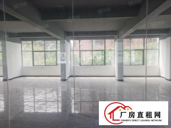  万江简沙洲工业区新出独门独院标准厂房4500平方