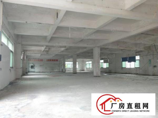  万江简沙洲工业区新出独门独院标准厂房4500平方