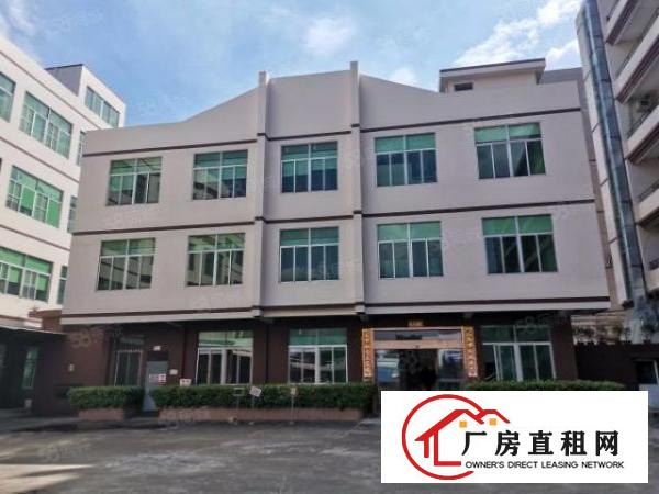  上市公司，独门独院12500招租，全新厂房