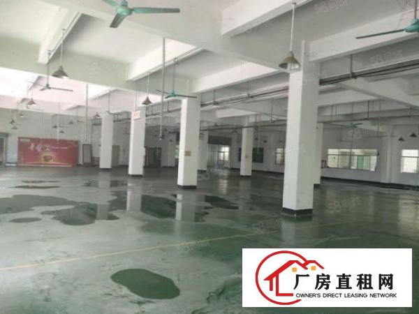 1250平方厂房，带现成装修办公室，现成水电，