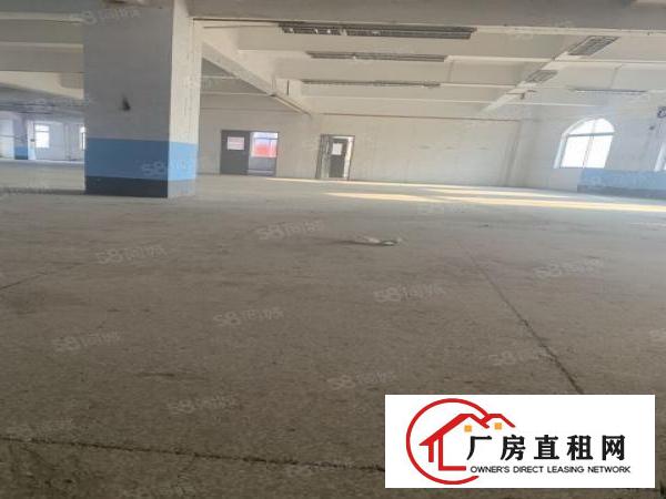 出租厂房8元一个平方，1300。送400平方米空地
