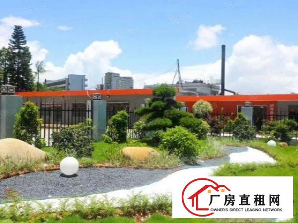  国有红本单一层独院，带独立共办公楼。物美价廉