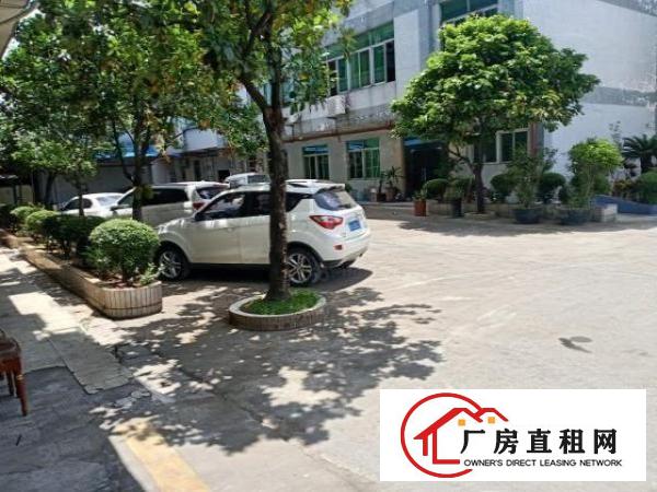  原房东独门独院标准厂房一楼证件齐全能办环评空地超大