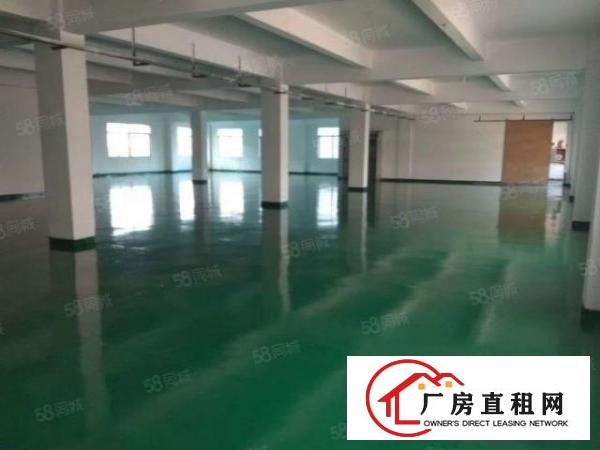  万江新出500~1000平带全新地坪漆出租（交通方便易招工）