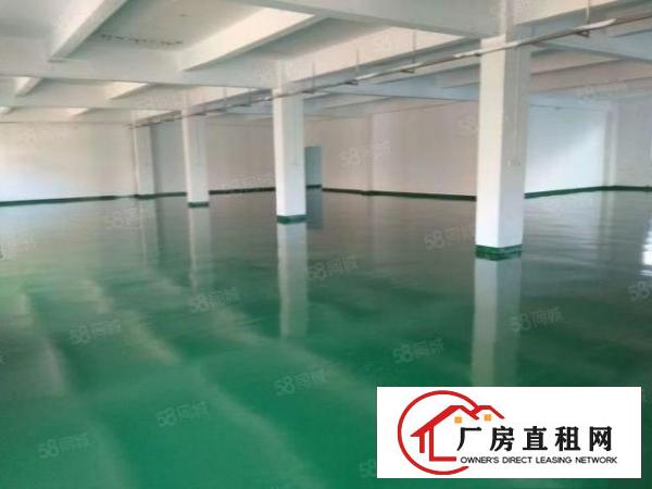  万江新出500~1000平带全新地坪漆出租（交通方便易招工）
