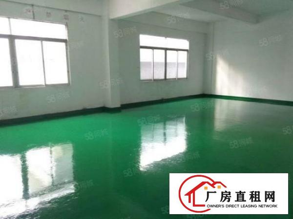  万江新出500~1000平带全新地坪漆出租（交通方便易招工）