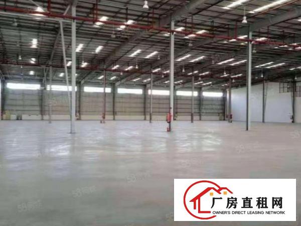  万江区周边独门独院原房东单一层厂房出租