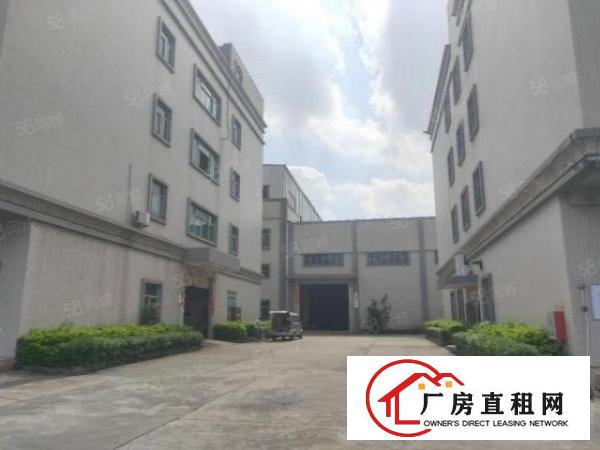  万江新和，环城路外，原房东标准厂房