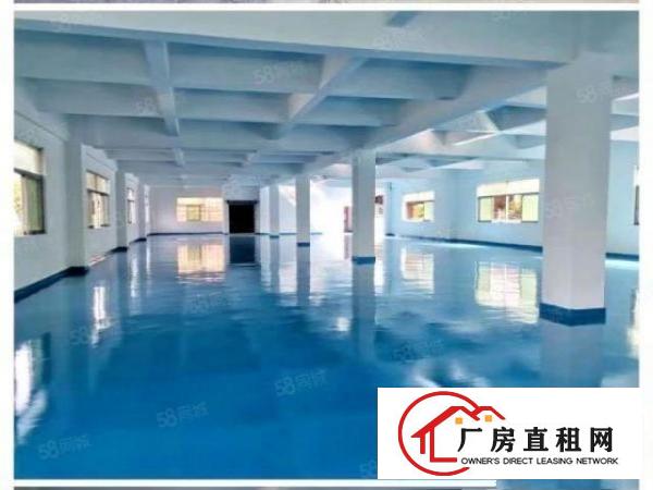  万江新和，环城路外，原房东标准厂房