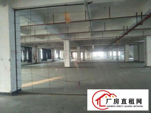  万江滘联工业区新出全新标准厂房4200平方