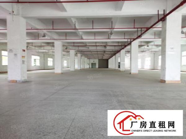  万江滘联工业区新出独门独院标准厂房9400平方