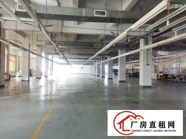  万江滘联工业区新出独门独院标准厂房9400平方