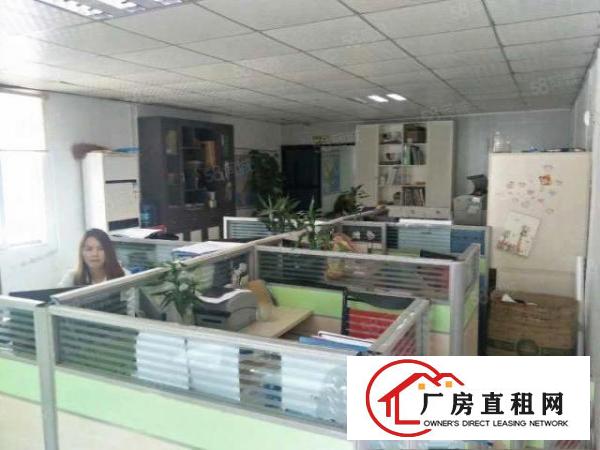  万江石美新出单一层厂房500平有现成办公室及宿舍配电150K