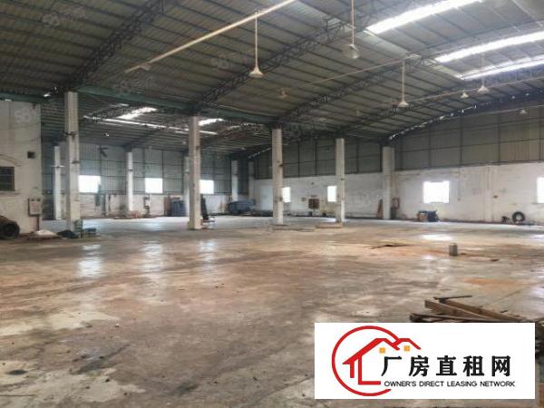  万江新出原房东独门独院单一层9米高厂房出租
