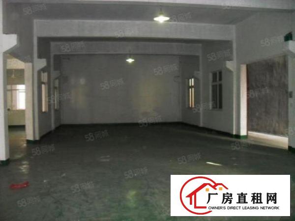  万江新出全新小独院两层厂房1200平方，空地1000