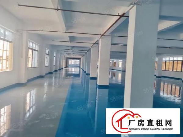  简沙洲全新改造标准厂房，现成水电豪华装修。可按需分租