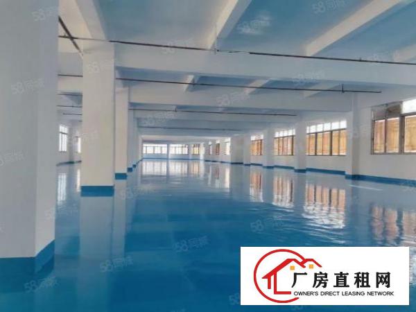  简沙洲全新改造标准厂房，现成水电豪华装修。可按需分租
