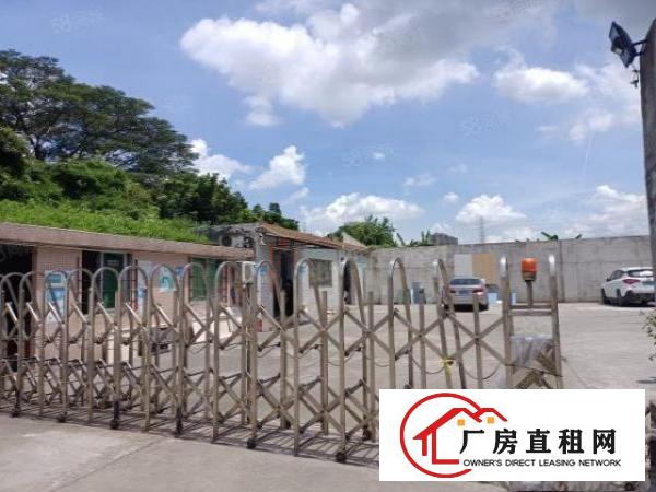  （厂房分租）万江区原房东暗盘590平（地方神秘）价美