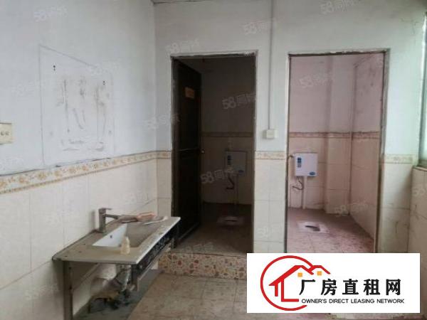  万江总站附近一楼带办公室厂房出租面积560平方。