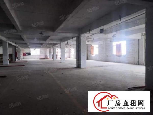  万江独门独院原房东厂房出租