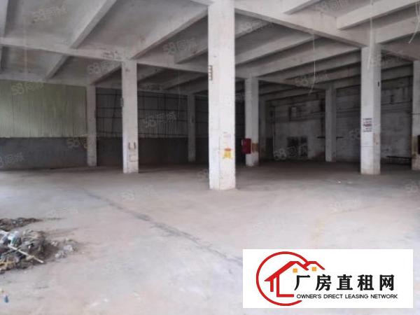  万江独门独院原房东厂房出租