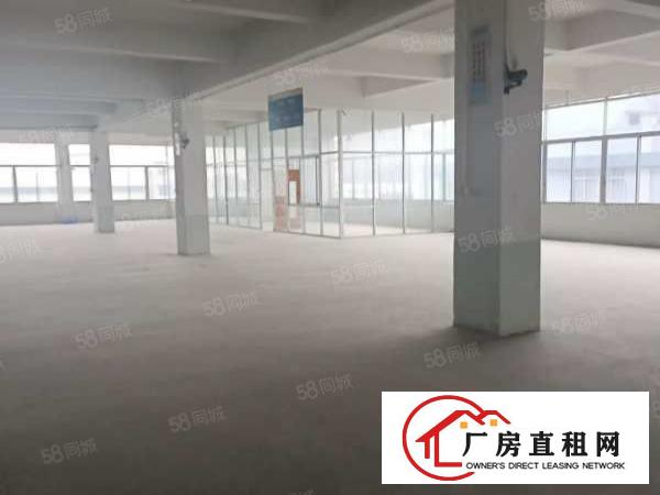  万江独门独院原房东厂房出租