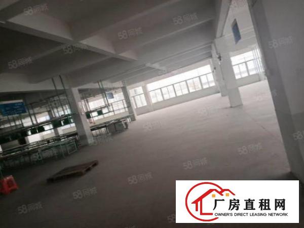  万江独门独院原房东厂房出租