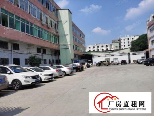  万江石美工业区新出二楼精装修550平方