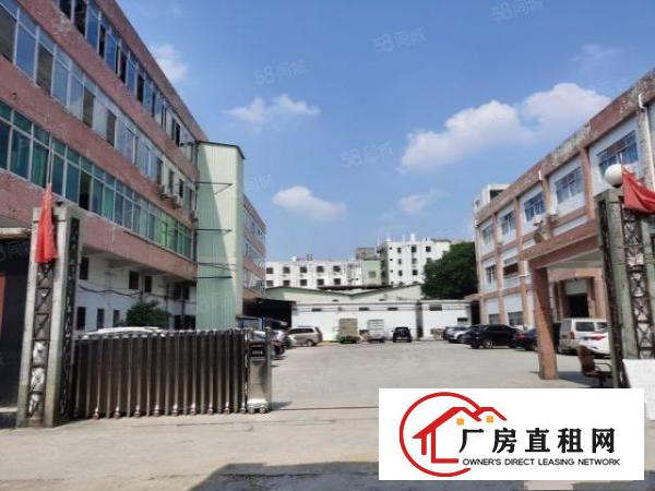  万江石美工业区新出二楼精装修550平方