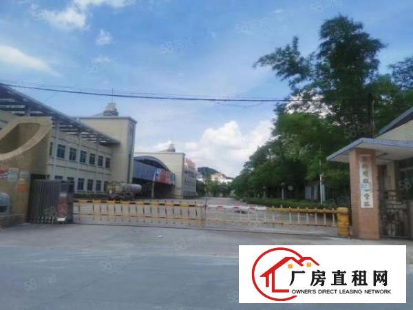  万江原房东独院单一层厂房，空地大，价格便宜