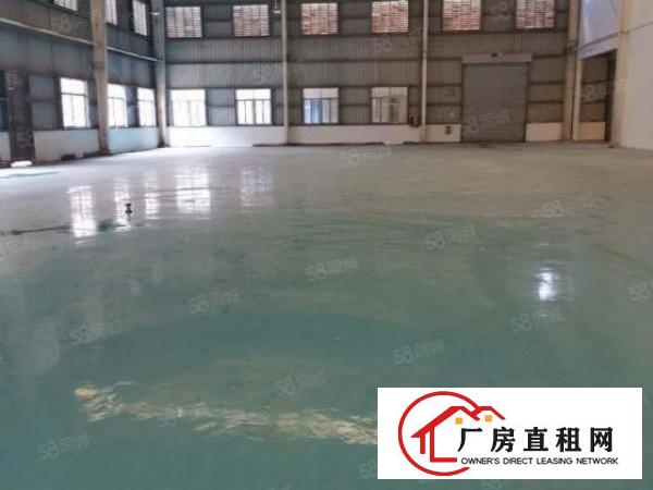  万江原房东独院单一层厂房，空地大，价格便宜