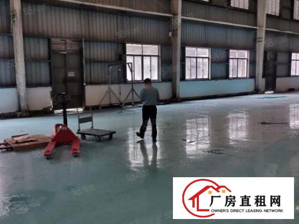  万江原房东独院单一层厂房，空地大，价格便宜