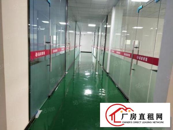  万江原房东独院单一层厂房，空地大，价格便宜