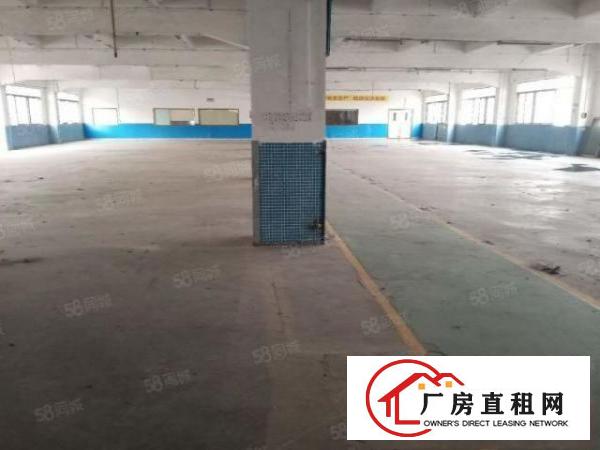  万江蚬涌独门独院，超大空地，大小可分租厂房出租