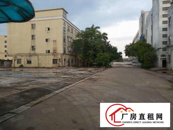  万江蚬涌独门独院，超大空地，大小可分租厂房出租
