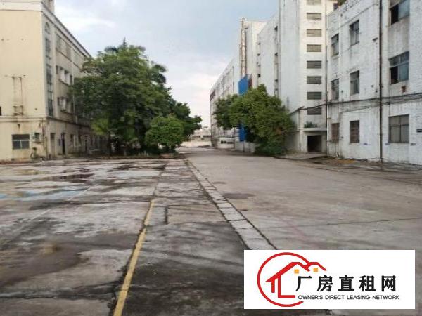  万江蚬涌独门独院，超大空地，大小可分租厂房出租