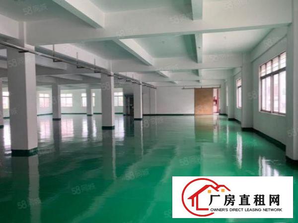  无公摊独门独院标准3层厂房4500平方（现成办公室）